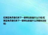 虹猫蓝兔勇者归来下一部续出的是什么介绍(虹猫蓝兔勇者归来下一部续出的是什么详细情况如何)