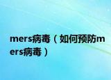 mers病毒（如何预防mers病毒）