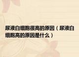 尿液白细胞很高的原因（尿液白细胞高的原因是什么）