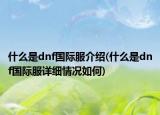 什么是dnf国际服介绍(什么是dnf国际服详细情况如何)