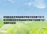 延安职业技术学院附属中学属于延安哪个区?介绍(延安职业技术学院附属中学属于延安哪个区?详细情况如何)