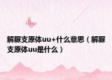 解脲支原体uu+什么意思（解脲支原体uu是什么）