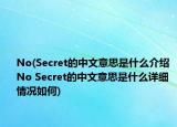 No(Secret的中文意思是什么介绍 No Secret的中文意思是什么详细情况如何)