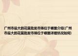 广州市最大的花盆批发市场位于哪里介绍(广州市最大的花盆批发市场位于哪里详细情况如何)