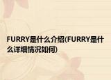 FURRY是什么介绍(FURRY是什么详细情况如何)