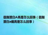 载脂蛋白A高是怎么回事（载脂蛋白a偏高是怎么回事）