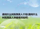 请问什么叫氛围美人介绍(请问什么叫氛围美人详细情况如何)
