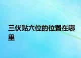 三伏贴穴位的位置在哪里