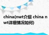 china(nwt介绍 china nwt详细情况如何)