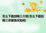 怎么下载剑网三介绍(怎么下载剑网三详细情况如何)