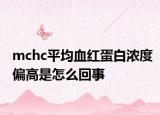 mchc平均血红蛋白浓度偏高是怎么回事