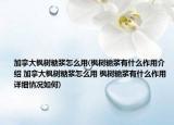 加拿大枫树糖浆怎么用(枫树糖浆有什么作用介绍 加拿大枫树糖浆怎么用 枫树糖浆有什么作用详细情况如何)