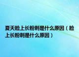 夏天脸上长粉刺是什么原因（脸上长粉刺是什么原因）