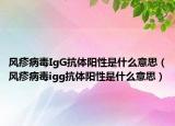 风疹病毒IgG抗体阳性是什么意思（风疹病毒igg抗体阳性是什么意思）