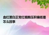 血红蛋白正常红细胞压积偏低是怎么回事