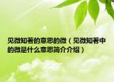 见微知著的意思的微（见微知著中的微是什么意思简介介绍）