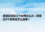 尿蛋白还是三个加号怎么办（尿蛋白3个加号是怎么回事）