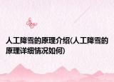 人工降雪的原理介绍(人工降雪的原理详细情况如何)