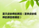 夏天皮肤痒的原因（夏季皮肤瘙痒的原因有哪些）