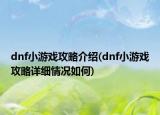 dnf小游戏攻略介绍(dnf小游戏攻略详细情况如何)