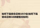 如何下载使命召唤16介绍(如何下载使命召唤16详细情况如何)