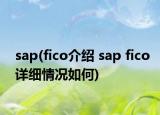 sap(fico介绍 sap fico详细情况如何)