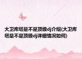 大卫库塔是不是顶级dj介绍(大卫库塔是不是顶级dj详细情况如何)