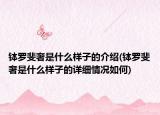 钵罗斐奢是什么样子的介绍(钵罗斐奢是什么样子的详细情况如何)