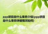ppp项目是什么意思介绍(ppp项目是什么意思详细情况如何)