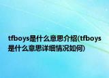 tfboys是什么意思介绍(tfboys是什么意思详细情况如何)