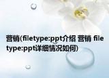 营销(filetype:ppt介绍 营销 filetype:ppt详细情况如何)