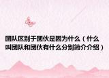 团队区别于团伙是因为什么（什么叫团队和团伙有什么分别简介介绍）