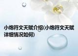 小炮符文天赋介绍(小炮符文天赋详细情况如何)
