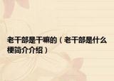 老干部是干嘛的（老干部是什么梗简介介绍）
