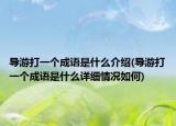 导游打一个成语是什么介绍(导游打一个成语是什么详细情况如何)