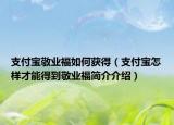 支付宝敬业福如何获得（支付宝怎样才能得到敬业福简介介绍）