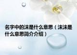 名字中的沫是什么意思（沫沫是什么意思简介介绍）