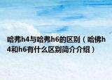 哈弗h4与哈弗h6的区别（哈佛h4和h6有什么区别简介介绍）