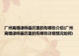 广州离婚律师最厉害的有哪些介绍(广州离婚律师最厉害的有哪些详细情况如何)