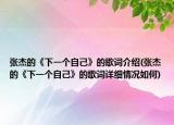 张杰的《下一个自己》的歌词介绍(张杰的《下一个自己》的歌词详细情况如何)