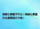 蚂蚁心愿是干什么（蚂蚁心愿是什么意思简介介绍）