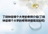 丁晓钟是哪个大学的老师介绍(丁晓钟是哪个大学的老师详细情况如何)