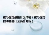 戎马倥偬是指什么动物（戎马倥偬的动物是什么简介介绍）