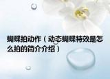 蝴蝶拍动作（动态蝴蝶特效是怎么拍的简介介绍）