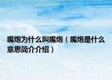 嘴炮为什么叫嘴炮（嘴炮是什么意思简介介绍）