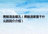 黄毅清去哪儿（黄毅清家里干什么的简介介绍）