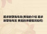 跪求新孽海乌龙(黄易的介绍 跪求新孽海乌龙 黄易的详细情况如何)