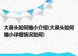 大鼻头如何缩小介绍(大鼻头如何缩小详细情况如何)