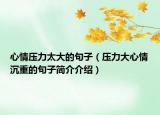 心情压力太大的句子（压力大心情沉重的句子简介介绍）
