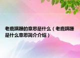 老鹿蹒跚的意思是什么（老鹿蹒跚是什么意思简介介绍）